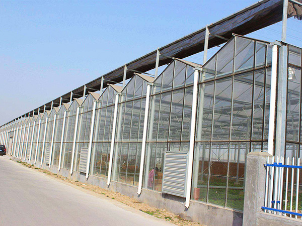 玻璃联动温室
