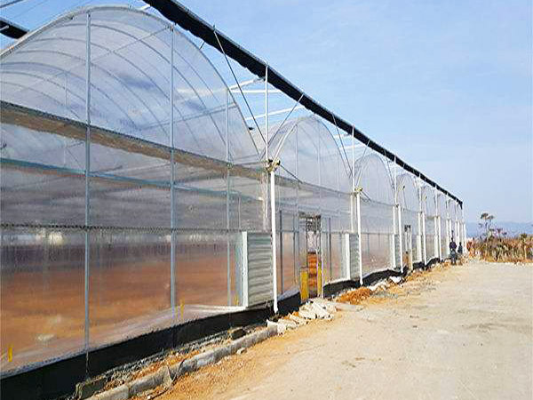 薄膜联动温室