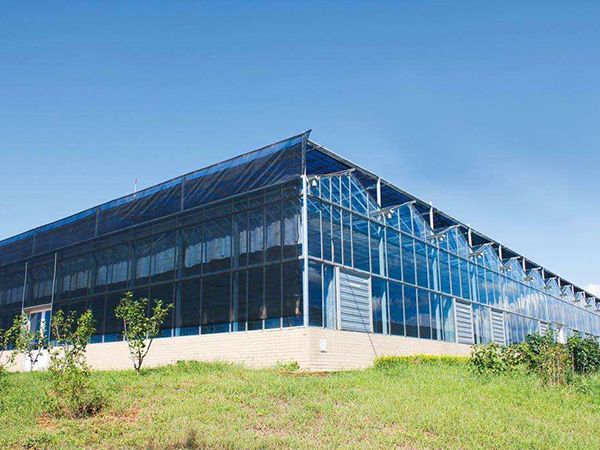 玻璃连栋温室