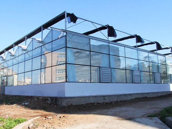 玻璃连栋温室