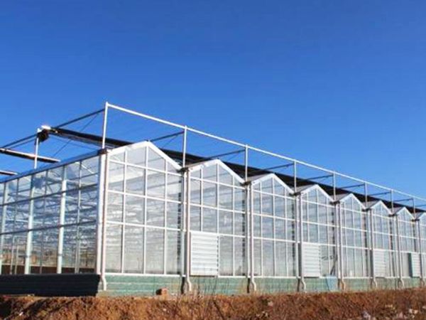 玻璃连栋温室