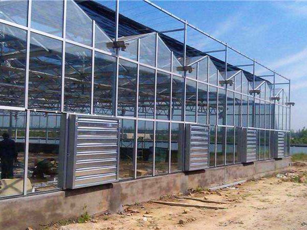 玻璃连栋温室