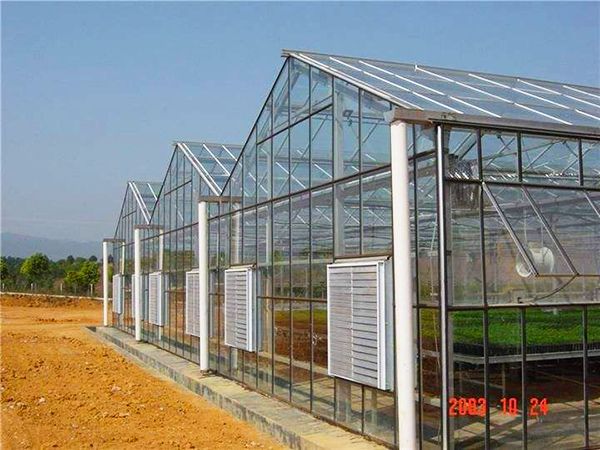 玻璃连栋温室