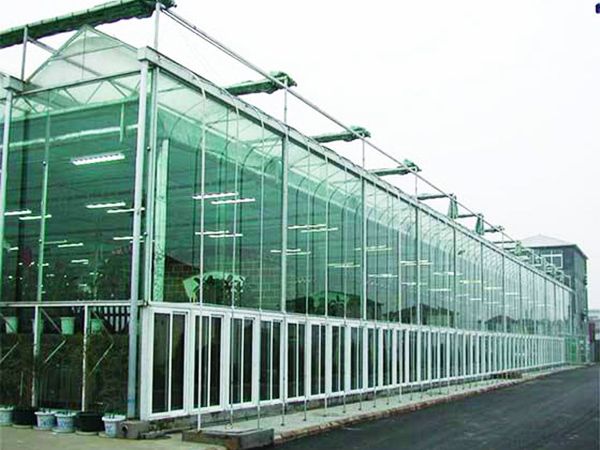 玻璃连栋温室