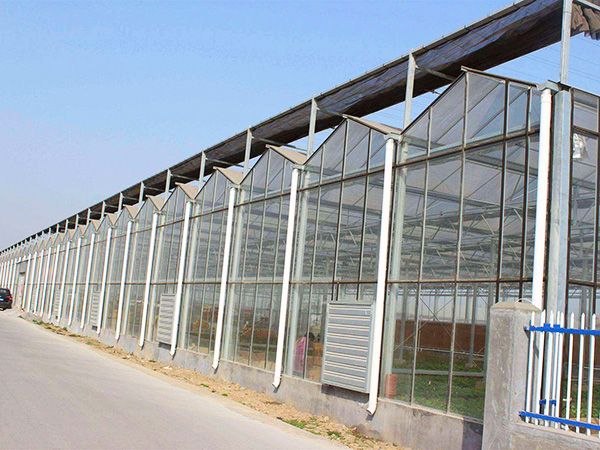 玻璃连栋温室