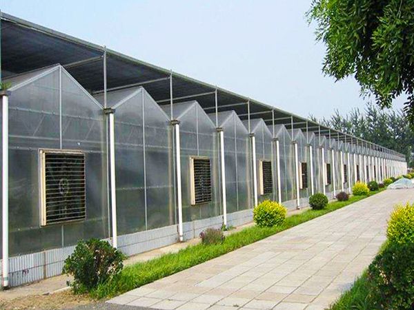 玻璃连栋温室