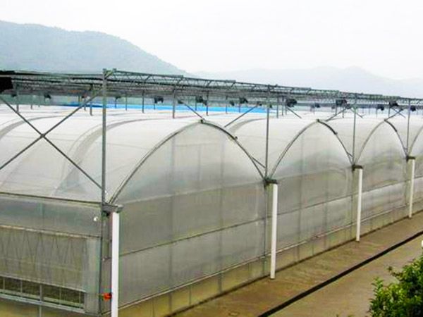 薄膜连栋温室