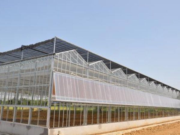 薄膜连栋温室