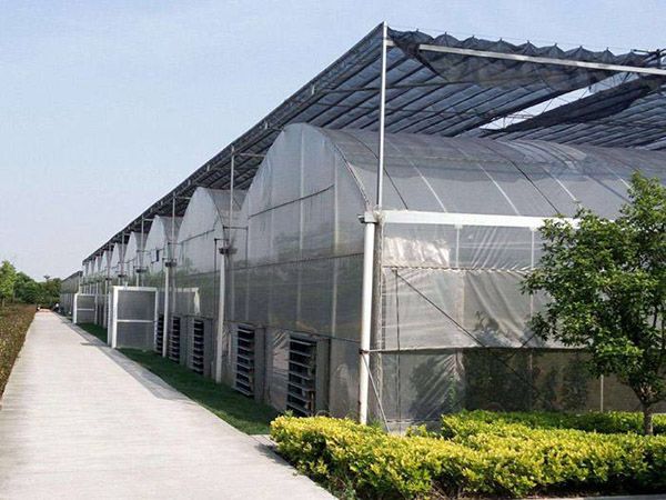薄膜连栋温室