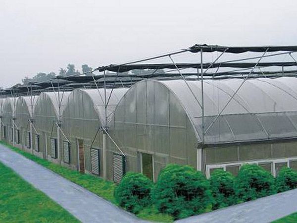 薄膜连栋温室