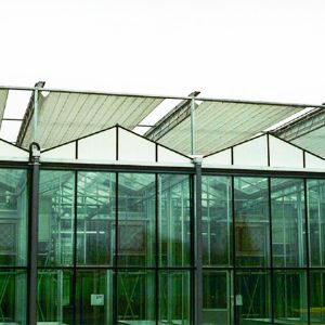 玻璃连栋温室