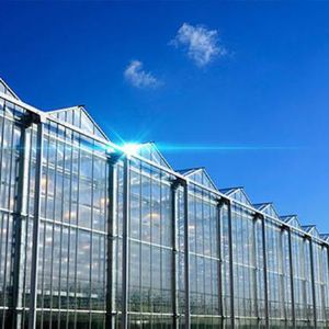 玻璃连栋温室