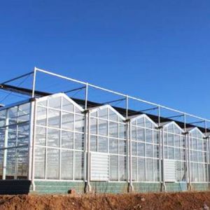 玻璃连栋温室