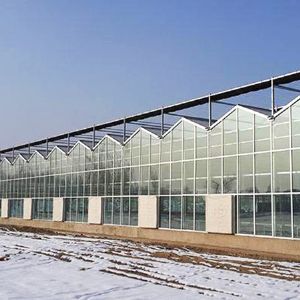 玻璃连栋温室
