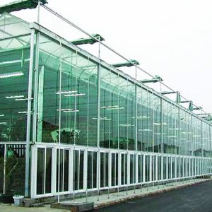 玻璃连栋温室