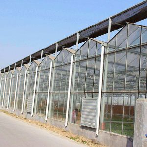玻璃连栋温室