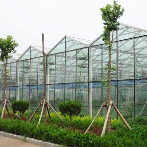 玻璃连栋温室