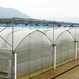 薄膜连栋温室
