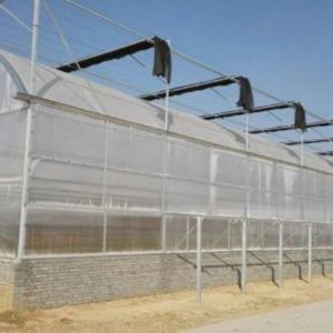 薄膜连栋温室