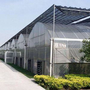 薄膜连栋温室