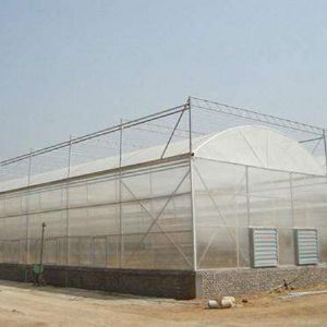 薄膜连栋温室
