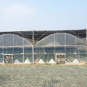 薄膜连栋温室