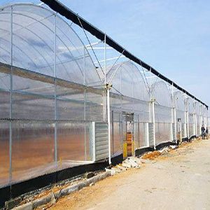 薄膜连栋温室