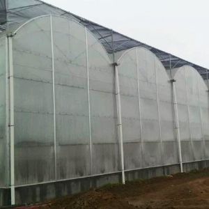 薄膜连栋温室
