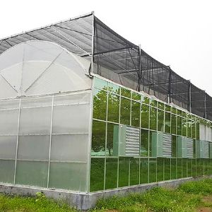 薄膜连栋温室