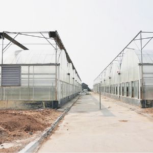 薄膜连栋温室