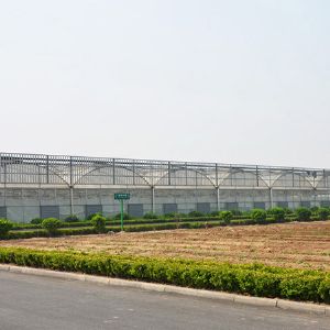 薄膜连栋温室
